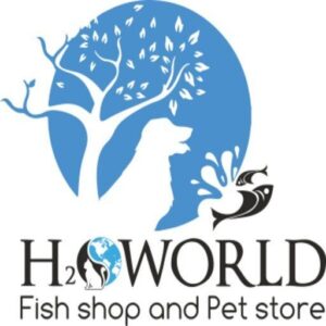 cropped logo h2oworld big new 1 1