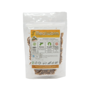 EVIA PARROTS mealworm 600x600 1