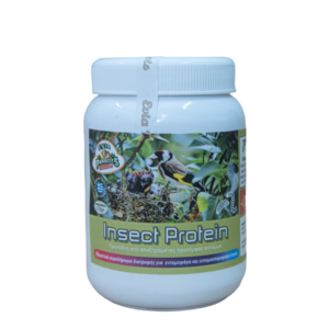 Evia Parrots Insect Protein 600x600 1